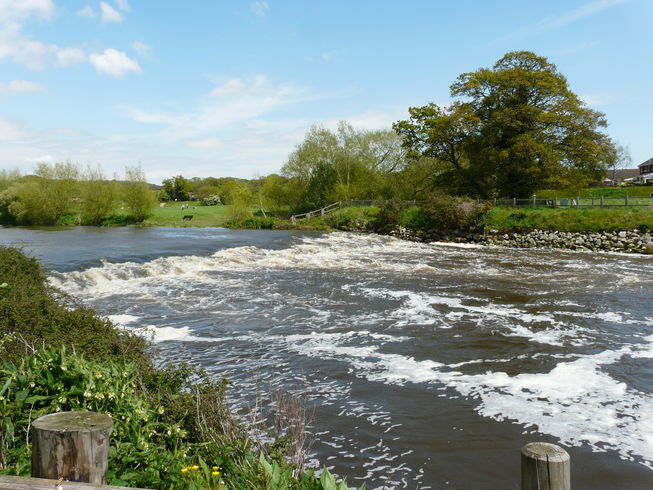 Iford Weir - You may spot a Heron fishing from the stones on the opposite bank.
