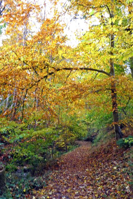 The path through Scone Den