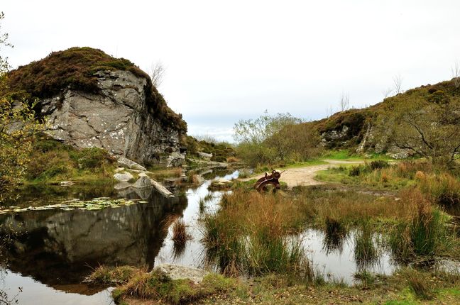 Haytor Quarry Pool, looking towards entrance to quarry.
