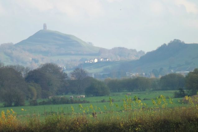 Glastonbury Tor seen from across fields