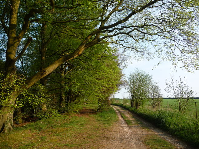 Beacon Hill National Nature Reserve