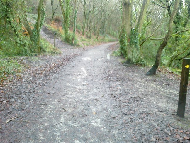 The disused railway track that linked the town of Holywell to the mainline at Greenfield (Holywell Junction)