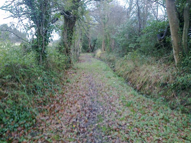 This bridleway had deteriorated and fallen into disuse.. It was restored by Flintshire County Council and local Ramblers Volunteers.