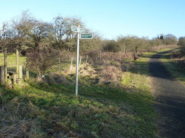 Uphall Community Wood