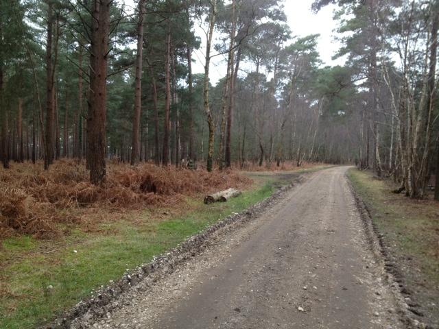 Roydon Woods