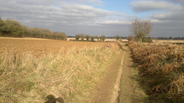 View toward Basingstoke