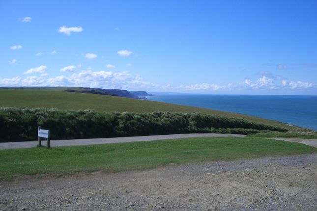 A view down the coastline towards Cornwall