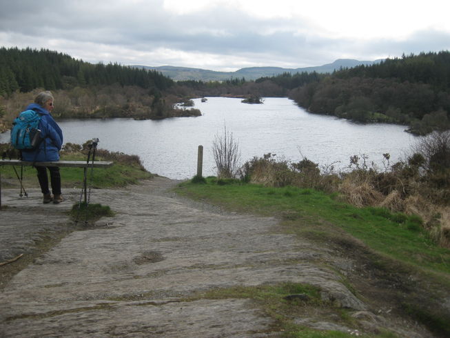 Llyn Elsi from the monument