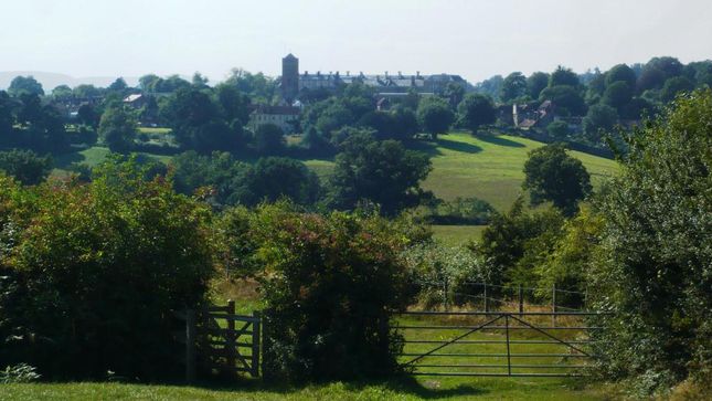 Looking towards Petworth before descending into the Shimmmings Valley