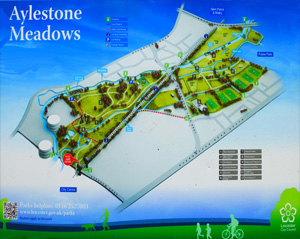Plan of the Park