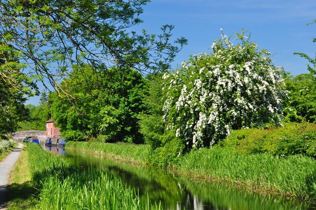 Montgomeryshire Canal at Maesbury Marsh