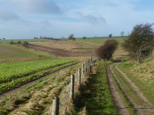 Along the South Downs Way between Amberley and Chantry car park.