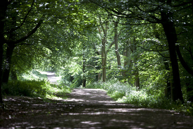 The Aylesbury Outer Ring