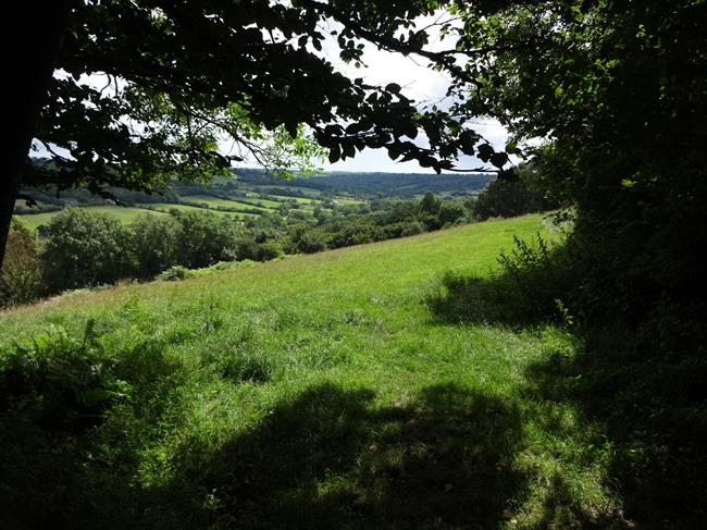 A view over the Madford Valley