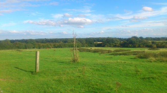 Views across Burbage Common.