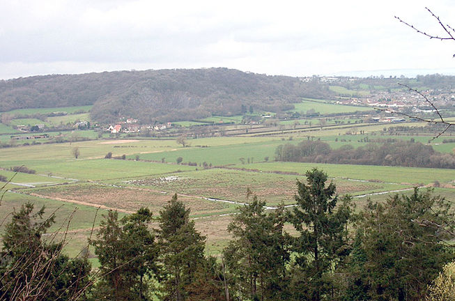 View over the Gordano Valley to Weston Big Wood Nature Reserve