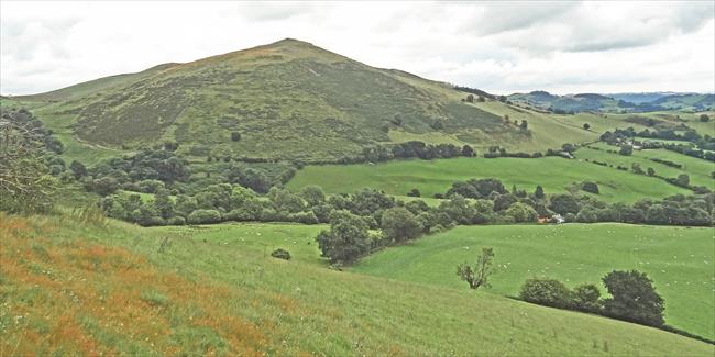 A fine view toward Mynydd Mawr