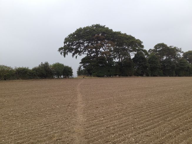 Hill above Tetford