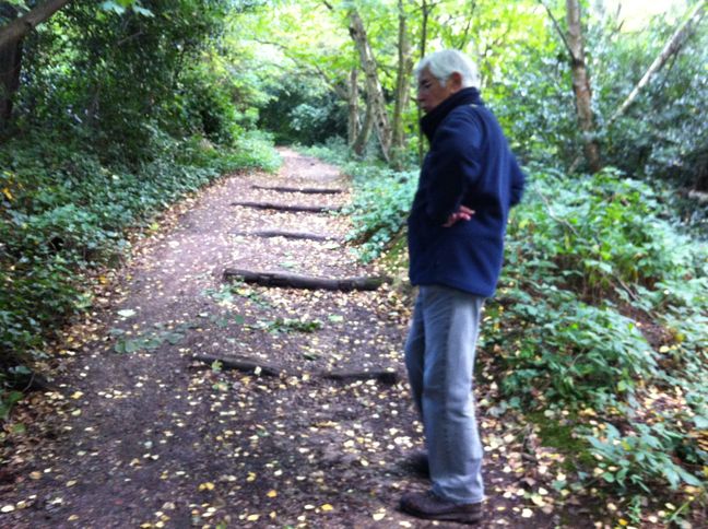 Path up steps