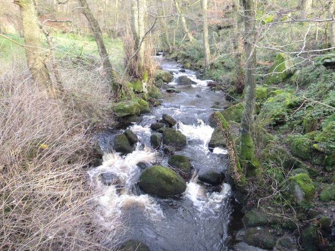 Burbage Brook from the bridge in Padley Gorge near Grindleford Station. The path runs up through the trees to the right.