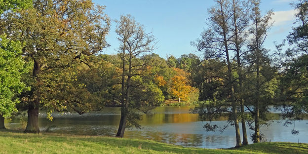 Lower Pool at Compton Verney