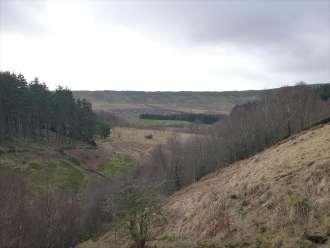 Looking back along Netherley Clough to Britland Edge Hill