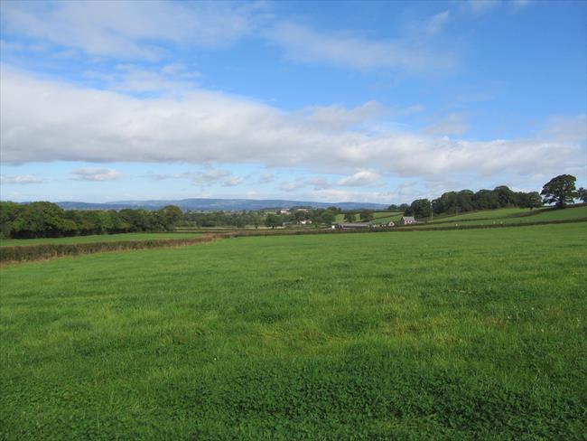 View across the Vale of Taunton to the Quantocks before reaching Angersleigh