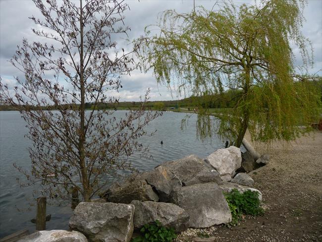 Rother Valley Country Park