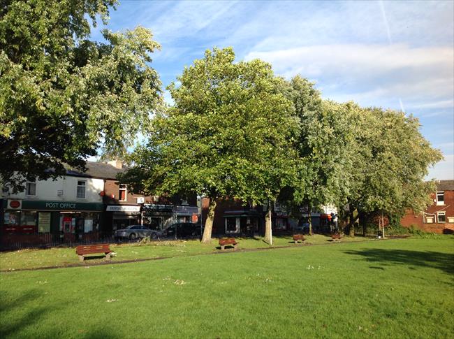 Mill Hill Park and Playground. Difficult to think that in 1890 this was a reservoir for a brickworks and was surrounded by clay pits!