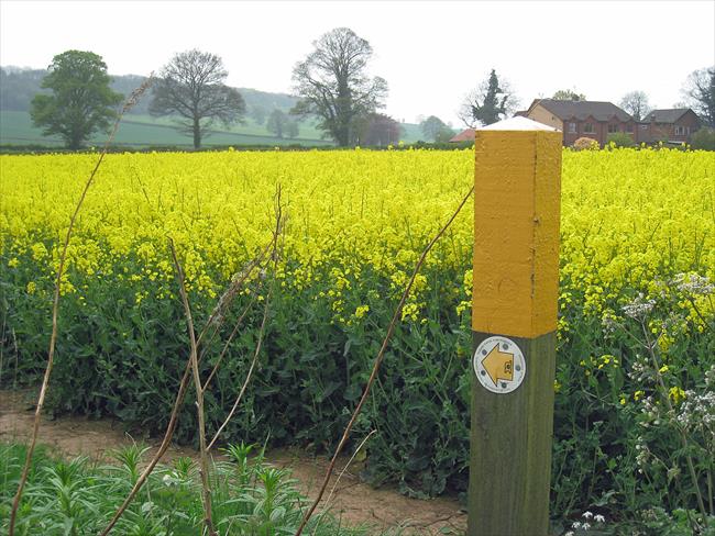 Near Woodborough