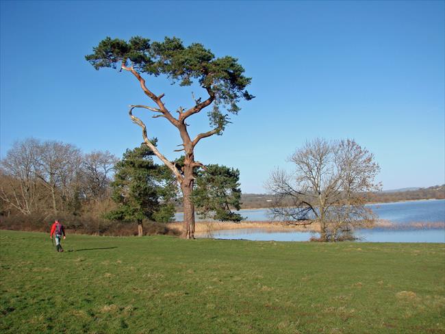 Llangorse Lake