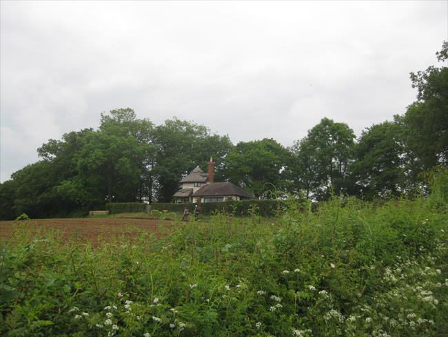 Thatched Tower cottage