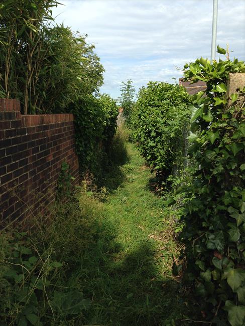 The path down the side of St. Katherine's school