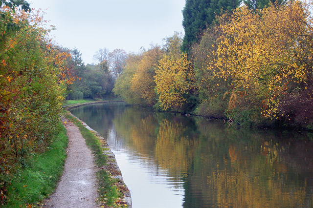 Following the canal in Autumn